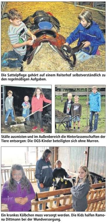 Ausschnitt_Seite_12_47983.0