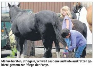 Ausschnitt_Seite_12_69399.0