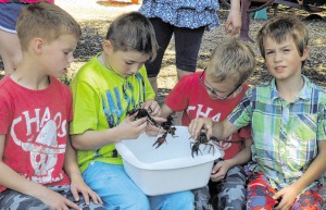 WAZ_20150701_WP989WB_2015_07_01